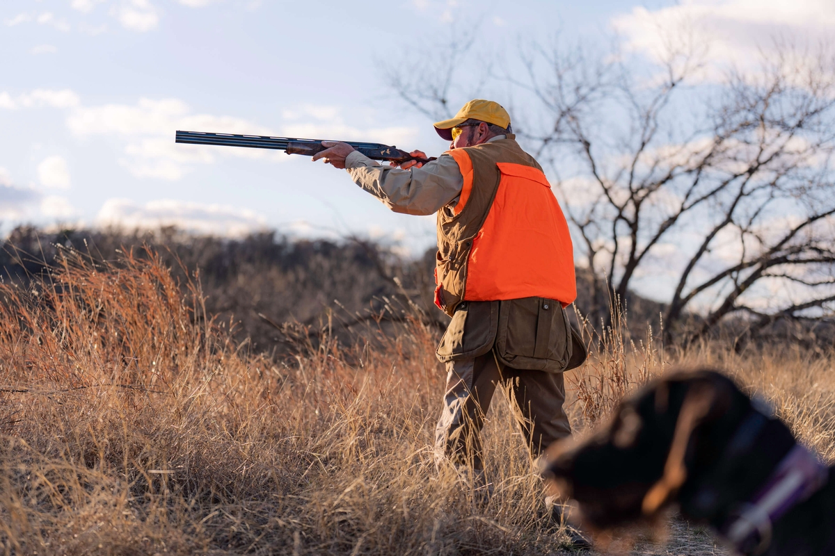 Upland Bird Hunting in Texas