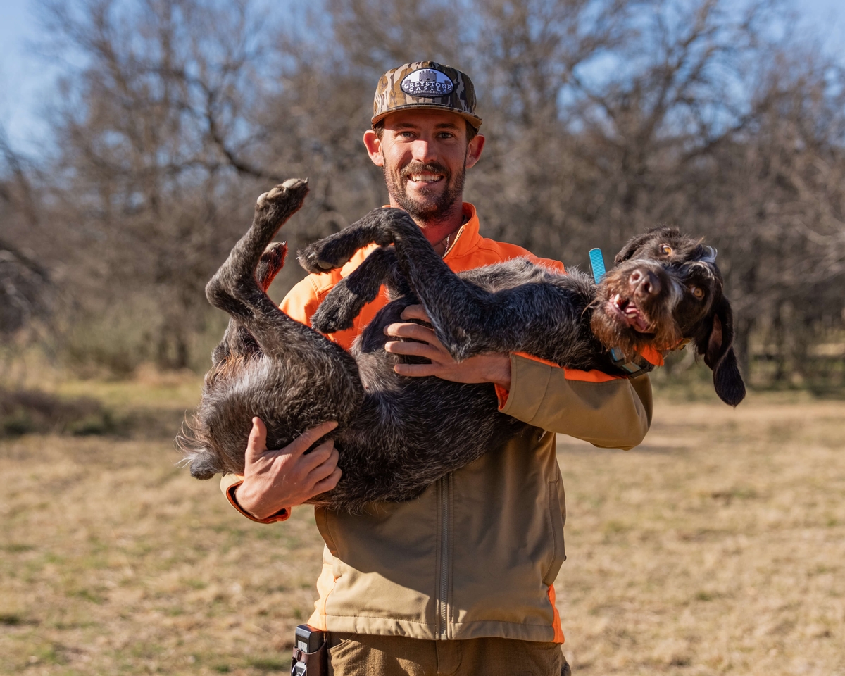 Upland Hunting Dogs in Texas